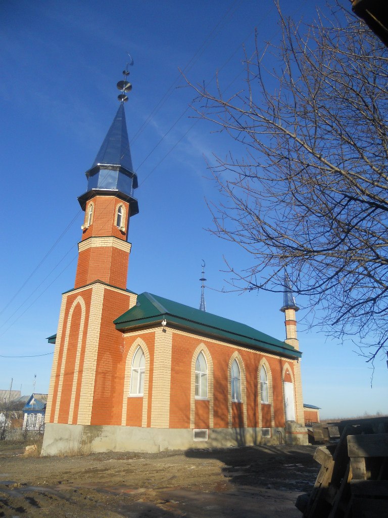 Мечеть с. Алтары Ромодановского района РМ
